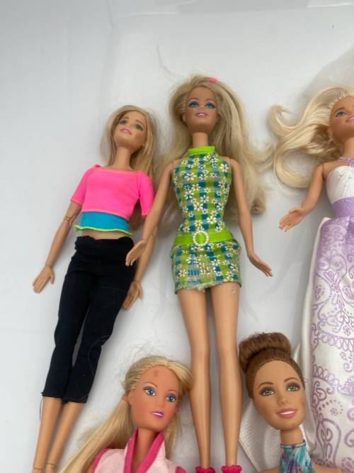 COLLECTION PF BARBIE DOLLS BID FOR ALL !!!!