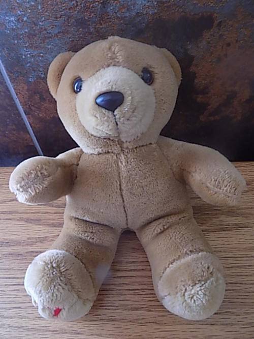 Stuffed Teddy with Black Nose & Brown Eyes