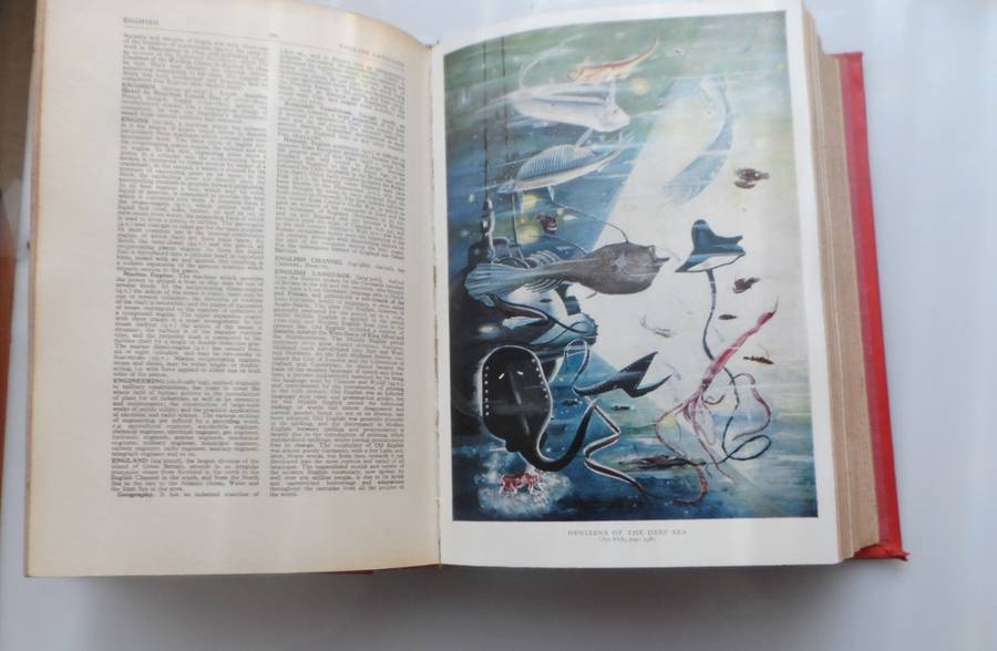 OLDHAMS  THE ILLUSTRATED ENCYCLOPAEDIA  VINTAGE HARD BOUND REPRINT 1960, 969 pages 20 pics fc 37 bw
