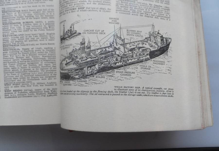 OLDHAMS  THE ILLUSTRATED ENCYCLOPAEDIA  VINTAGE HARD BOUND REPRINT 1960, 969 pages 20 pics fc 37 bw