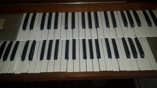 Electric Organ