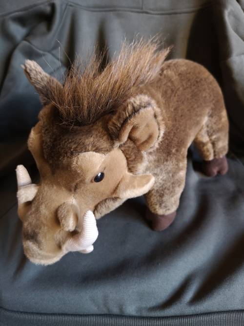 `Warthog` by Born Wild Gifts