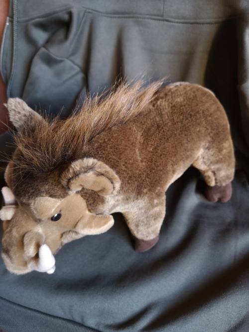 `Warthog` by Born Wild Gifts