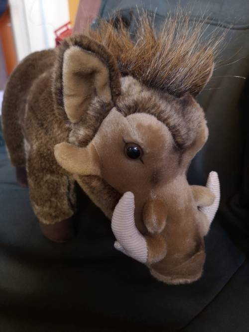 `Warthog` by Born Wild Gifts