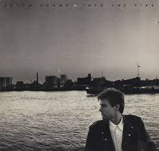 Bryan Adams - Into The Fire (Vinyl LP)