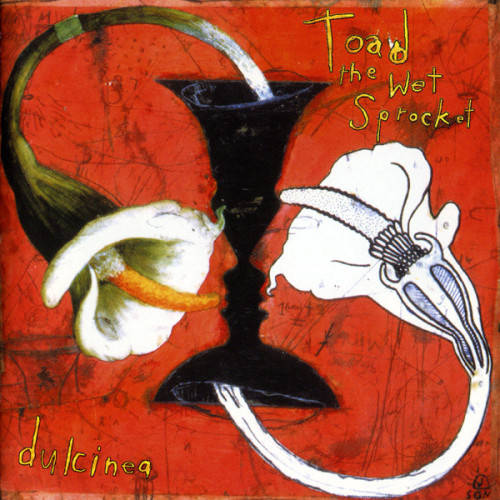 Toad The Wet Sprocket - Dulcinea (CD)