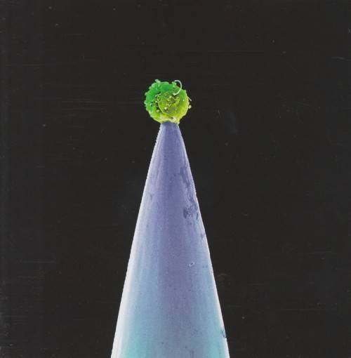 Peter Gabriel - New Blood (CD)