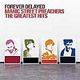 Manic Street Preachers : Forever Delayed - The Greatest Hits (CD)