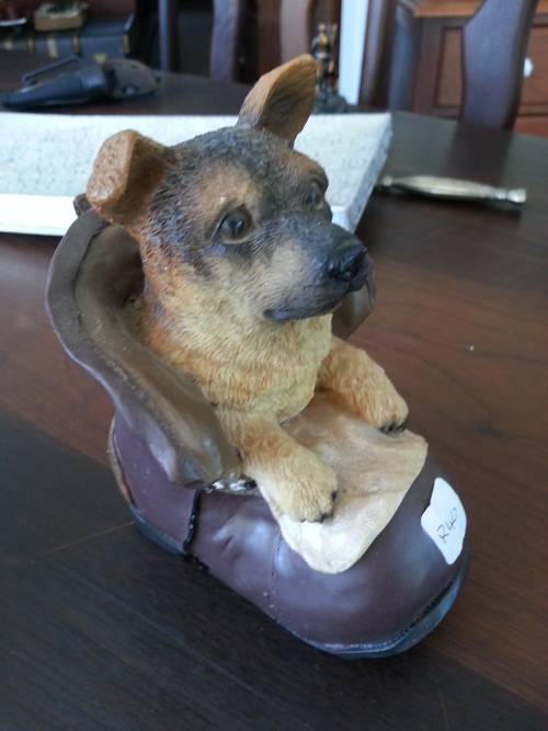 CUTE DOGGY IN A SHOE