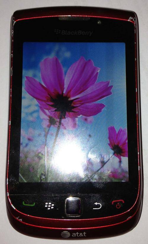 Blackberry Torch