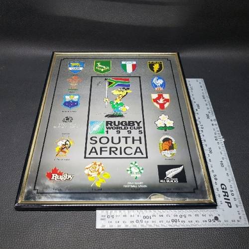 1995 World Cup Rugby Teams Display Mirror