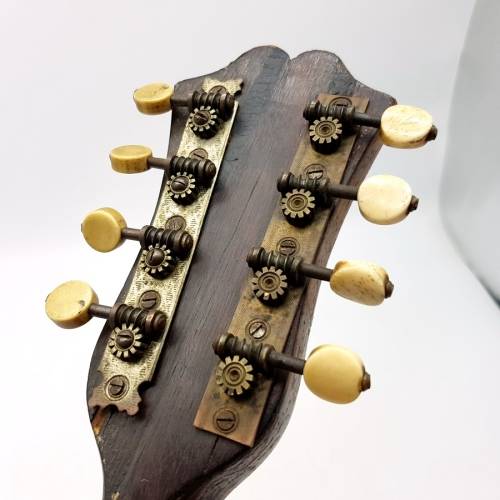 RARE!!! Antique Mandolin with Wood and Mother of Pearl Inlay By Luigi Rosario Napoli 1890