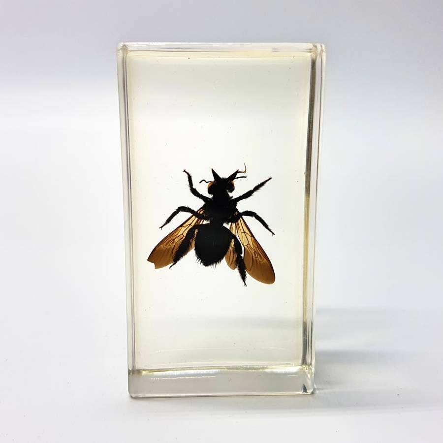 Original Pollen Basket Bee In Lucite Paperweight!!!