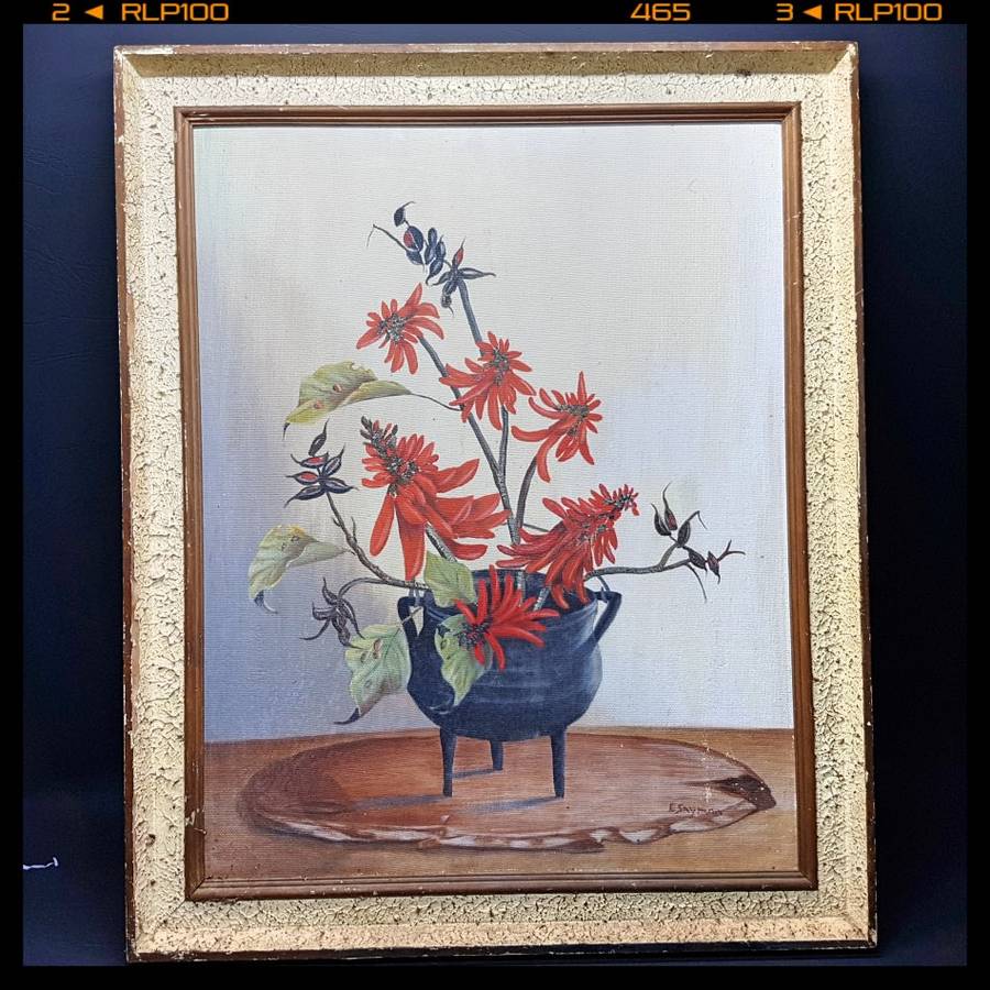Large Original Botanical Still Life by E. Snyman (700mm x 600mm)