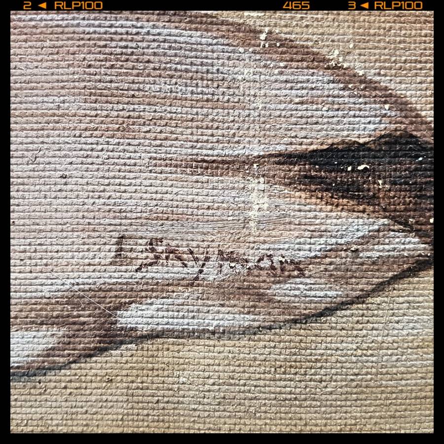 Large Original Botanical Still Life by E. Snyman (700mm x 600mm)