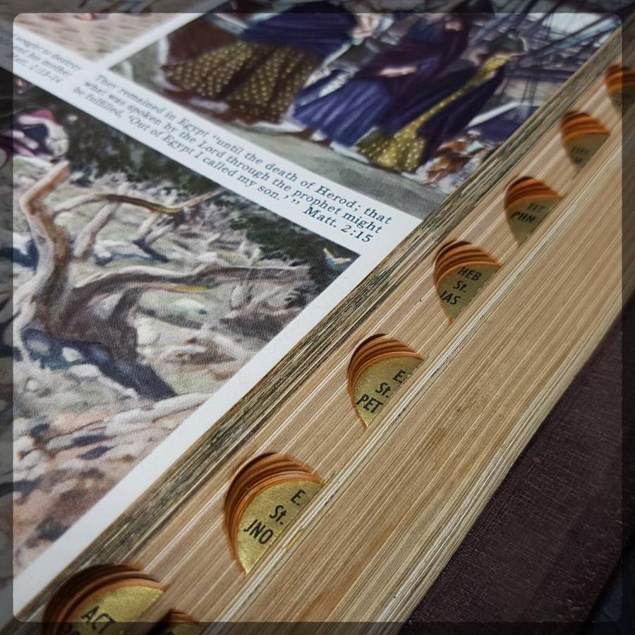 Large Leather Bound 1950's Illustrated Holy Bible!!!