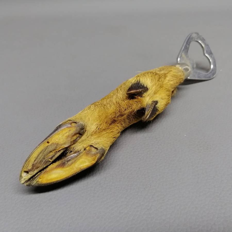 Rare!!! Vintage Lucky Buck Bottle Opener!!!