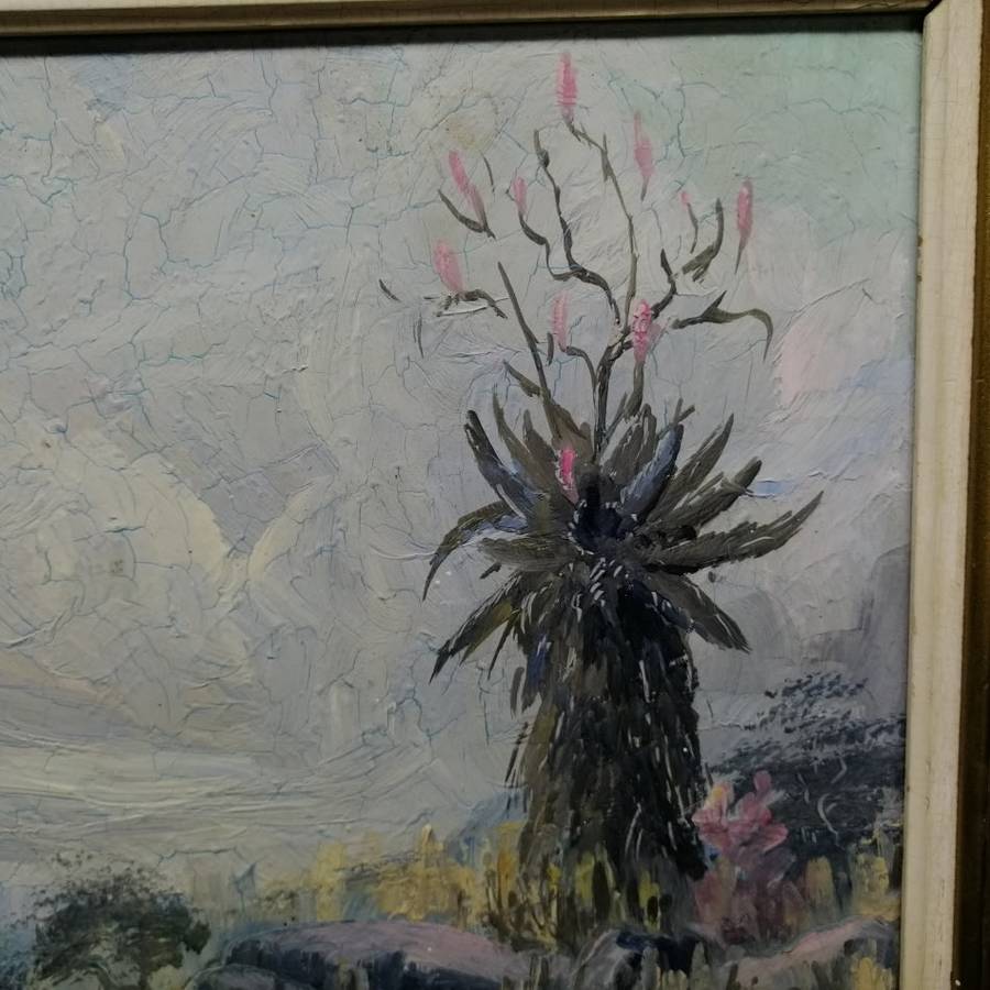 Original Framed Oil on Board J Labuschagne 1965 Landscape!!! 360 x 500