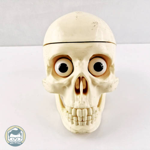 Detailed Human Skull Replica!!!