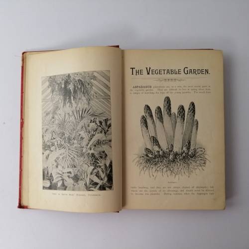 Horticulture - A Guide for the Garden by Smith Bros. Uitenhage Circa 1880`s!!!
