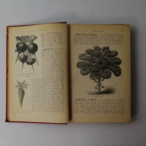 Horticulture - A Guide for the Garden by Smith Bros. Uitenhage Circa 1880`s!!!