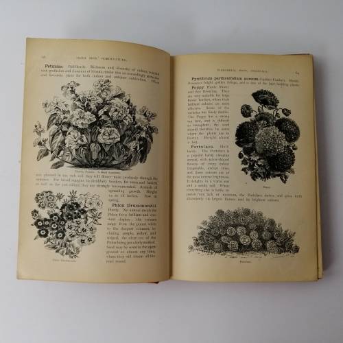 Horticulture - A Guide for the Garden by Smith Bros. Uitenhage Circa 1880`s!!!