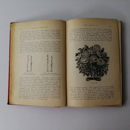 Horticulture - A Guide for the Garden by Smith Bros. Uitenhage Circa 1880`s!!!