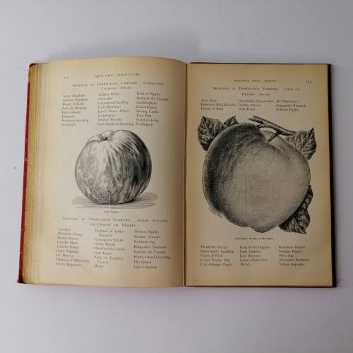 Horticulture - A Guide for the Garden by Smith Bros. Uitenhage Circa 1880`s!!!