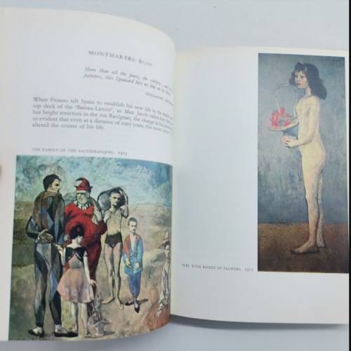 1965 Hardcover - Picasso by Pierre Daix!!!
