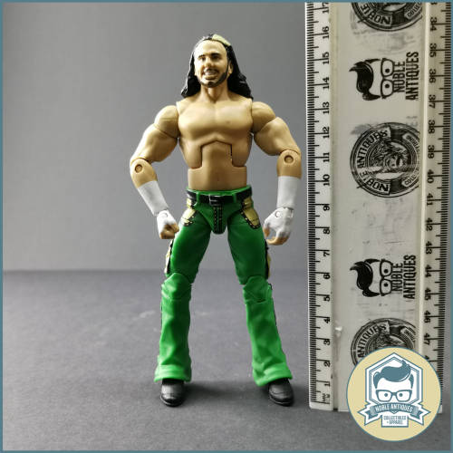 2011 WWE Matt Hardy Articulated Action Figure!!!