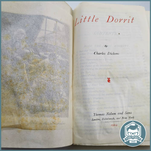 Antique 1900`s Dickens Novel Collection (A5)!!!