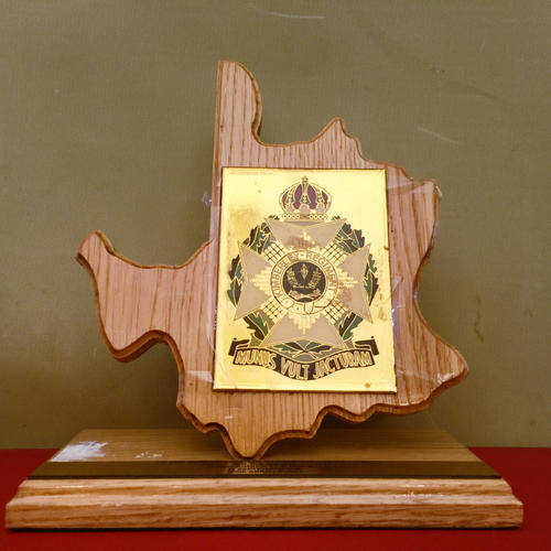 Ronnie Kasril Minister of Defence Kimberley Regiment Award (Private Collection)
