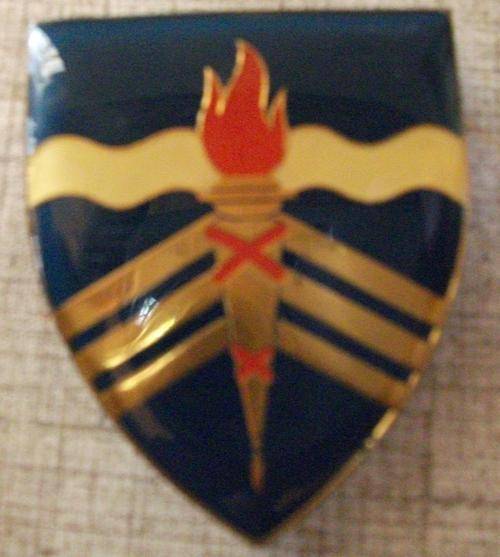 Regiment Schoonspruit Shoulder Flash - 3 pins