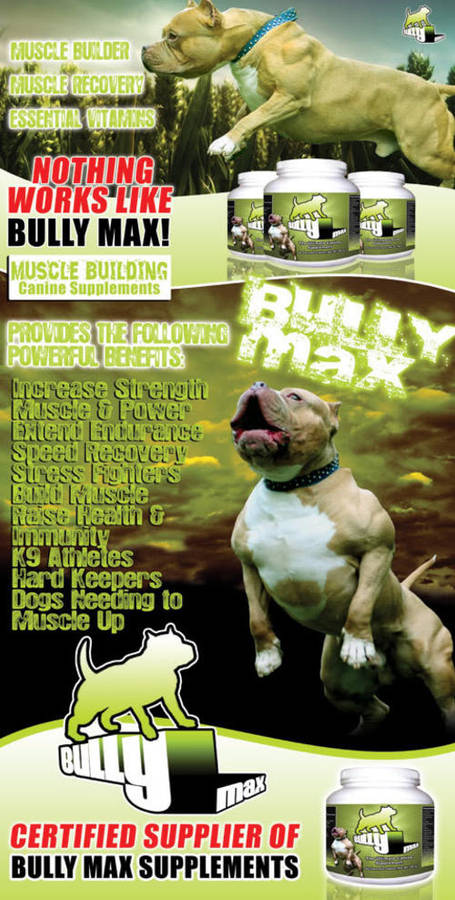 bully max for dogs