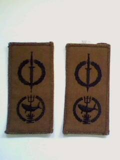 2 Recce swimming qualification badges. Believed to be a copies.