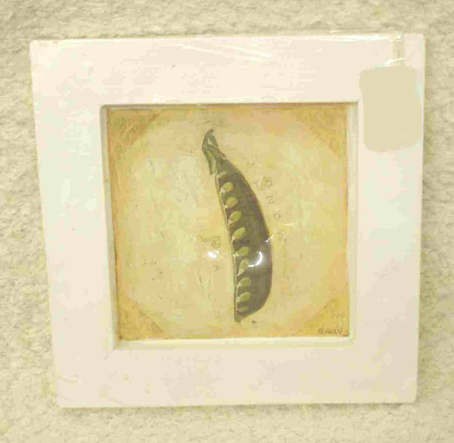 Snow Pea frame