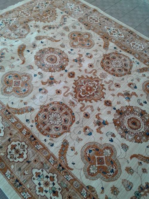 oriental  carpet