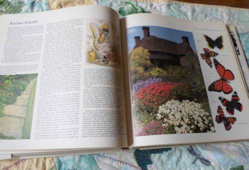 THE SCENTED GARDEN - ROSEMARY VEREY