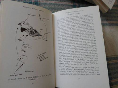 THE WORLD OF ZEBRA FINCHES - CYRIL H ROGERS