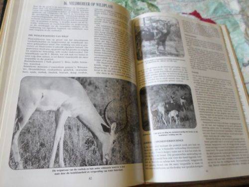 WILDBOERDERY & NATUURRESERVAATBESTUUR - EDDIE YOUNG