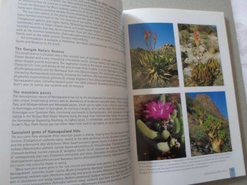 SUCCULENTS OF SOUTH AFRICA - ERNST VAN JAARSVELD , BER-ERIK VAN WYK , GIDEON SMITH , ELISE BODLEY