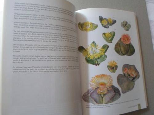 SUCCULENTS OF SOUTH AFRICA - ERNST VAN JAARSVELD , BER-ERIK VAN WYK , GIDEON SMITH , ELISE BODLEY