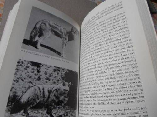 THE PLAINS OF CAMDEBOO - EVE PALMER ( REVISED EDITION )   ( weight 400 grams )