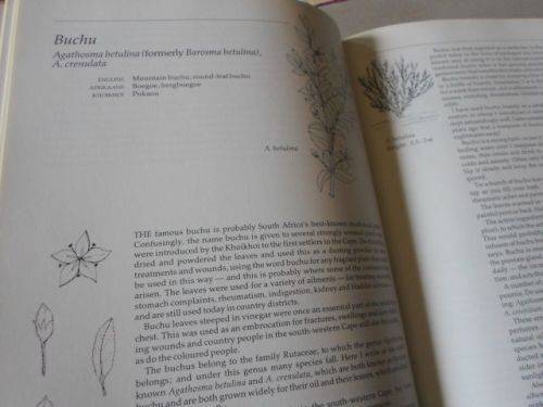 INDIGENOUS HEALING PLANTS - MARGARET ROBERTS (  weight 1,5 kg )