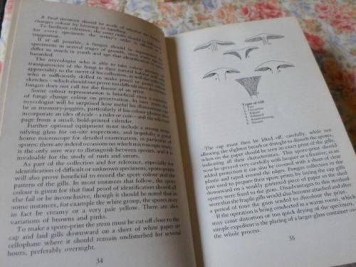 COLLECTING AND STUDYING MUSHROOMS , TOADSTOOLS AND FUNGI - ALAN MAJOR ( weight 0,40 kg )