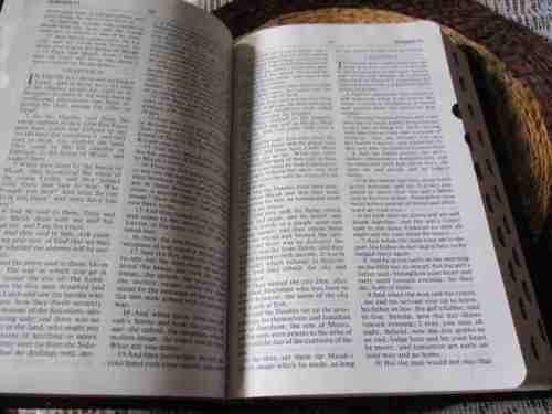 THE AMPLIFIED BIBLE - EXPANDED EDITION ( WITH IT`S BOX / HOLDER )