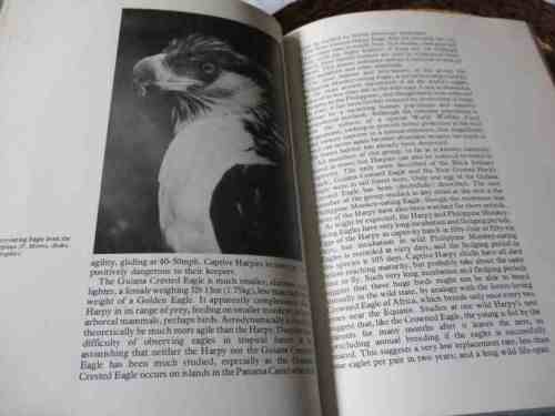 EAGLES OF THE WORLD - LESLIE BROWN