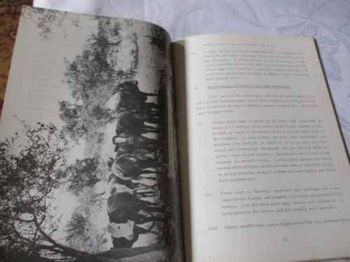 SHELTER BELTS AND WINDBREAKS IN SOUTH AFRICA - DEPARTMENT OF  FORESTRY PAMPHLET 118