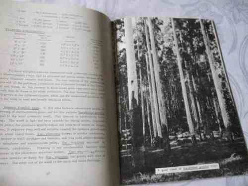 THE ESTABLISHMENT AND MANAGEMENT OF FARM PLANTATIONS FOR WOOD PRODUCTION - DEPT.  OF FORESTRY