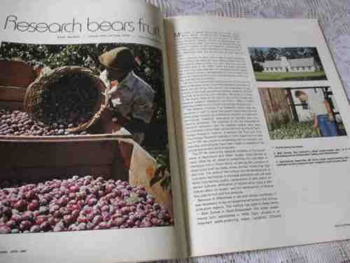 SA PANORAMA MAGAZINE APRIL 1988 ( SABS, GROOTE SCHUUR HOSPITAL, RICHARDS BAY, SPCA )